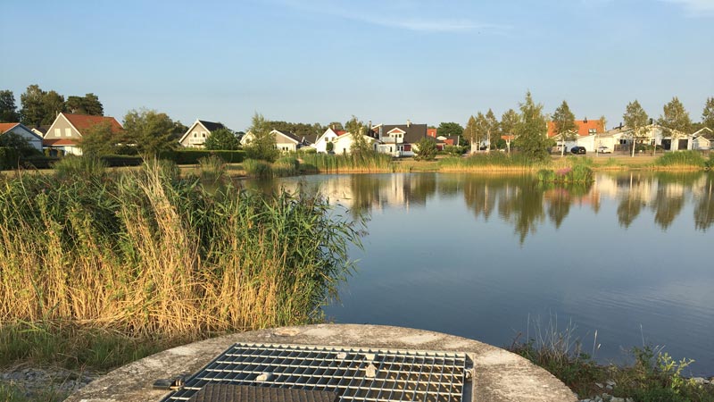 Dagvattendamm med en dagvattenbrunn i förgrunden.